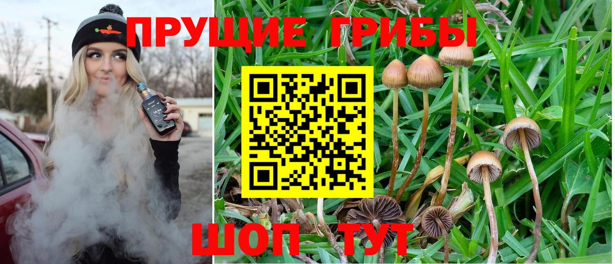 Псилоцибиновые грибы Magic Shrooms Ессентуки